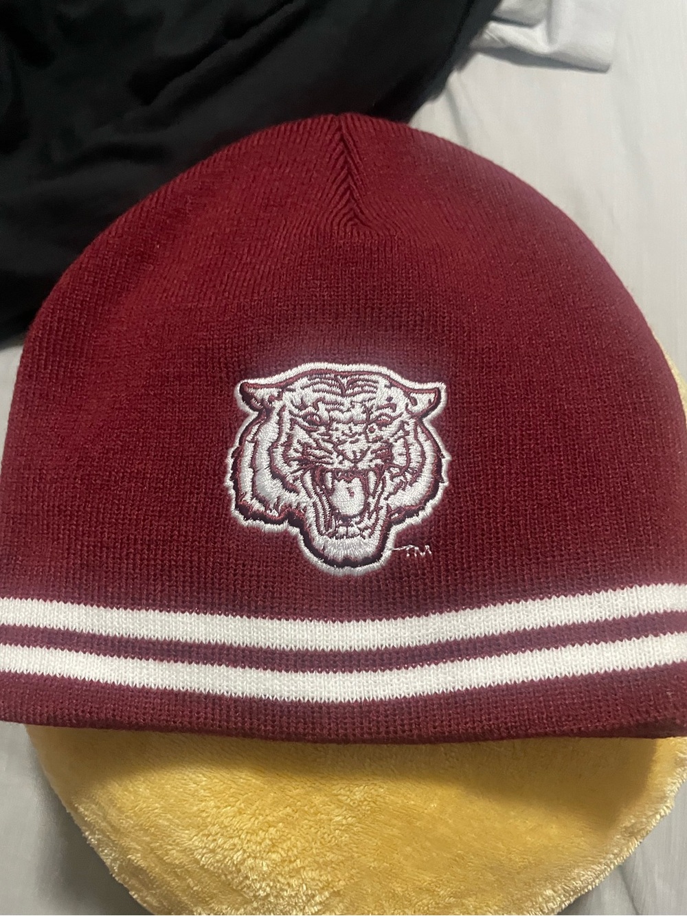 Tiger College Beanie